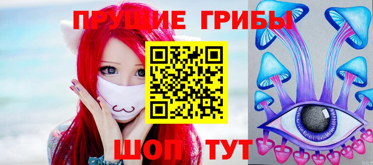 купить наркоту  Галлюциногенные грибы прущие грибы  Симферополь  Вход с VPN  Псилоцибиновые грибы Cubensis 